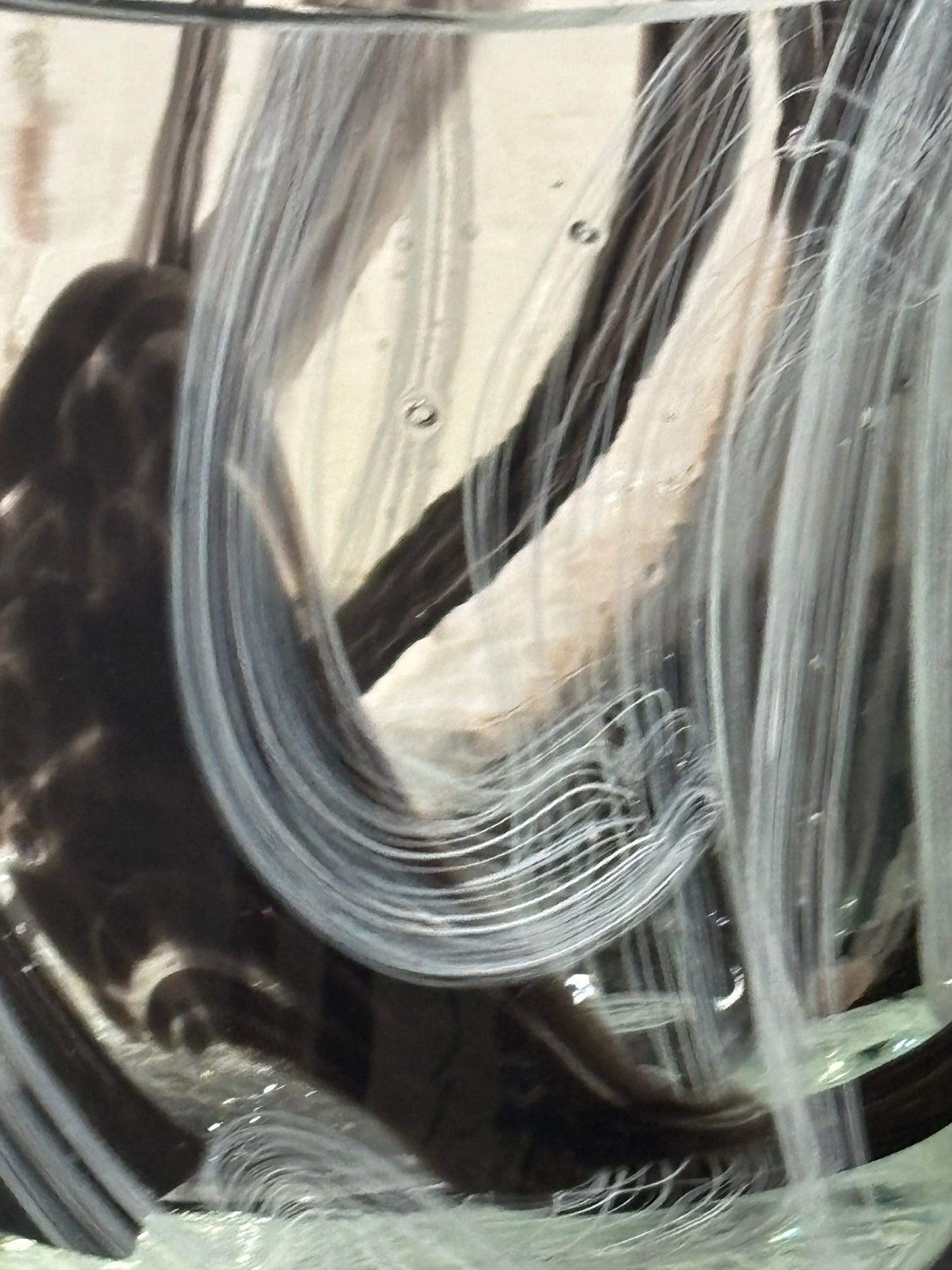 Dentelle